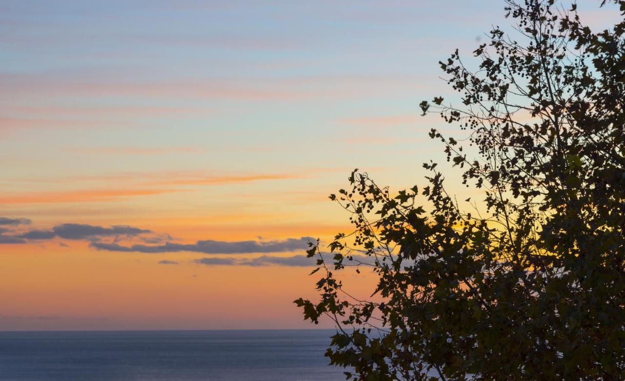 Ambrosea Amalfi Coast B&B Vietri Dış mekan fotoğraf